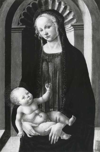Anonimo — Maestro di San Miniato - sec. XV - Madonna con Bambino — insieme